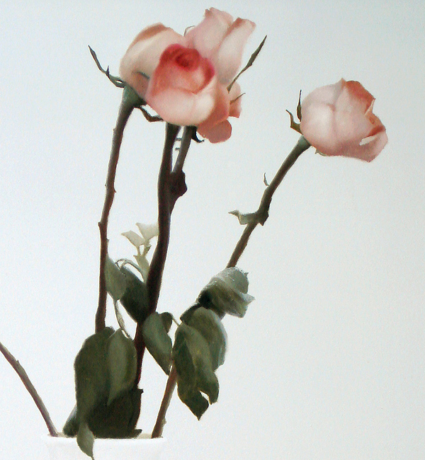 The Silver Cup, oil on canvas,40"x30",102cm.x76cm.